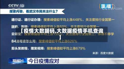 【疫情大数据码,大数据疫情手机查询】