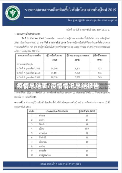 疫情总结表/疫情情况总结报告-第2张图片