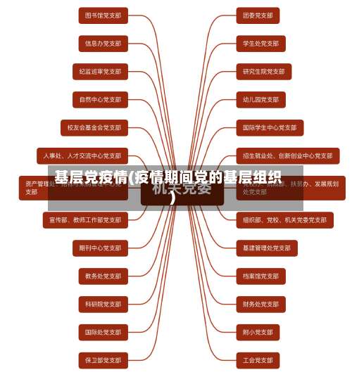 基层党疫情(疫情期间党的基层组织)-第2张图片