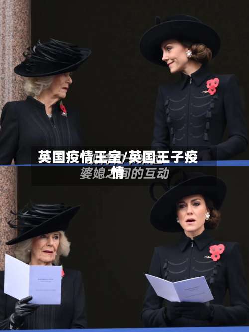 英国疫情王室/英国王子疫情