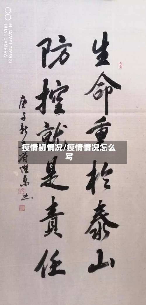 疫情初情况/疫情情况怎么写