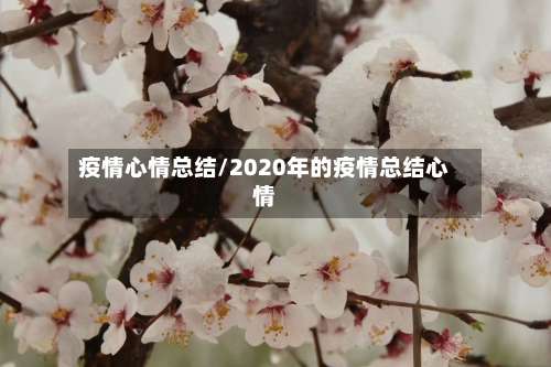 疫情心情总结/2020年的疫情总结心情