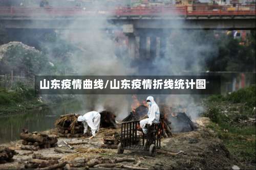 山东疫情曲线/山东疫情折线统计图