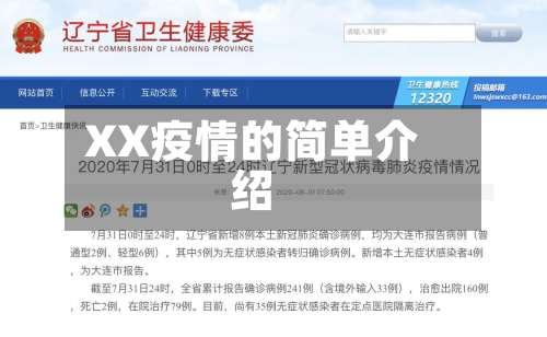 XX疫情的简单介绍-第3张图片