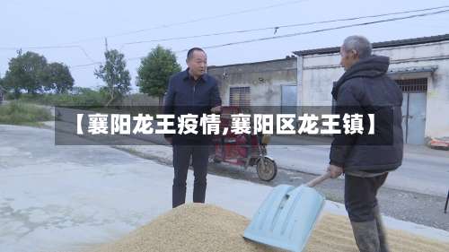 【襄阳龙王疫情,襄阳区龙王镇】-第2张图片