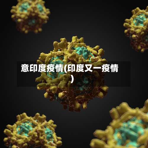 意印度疫情(印度又一疫情)