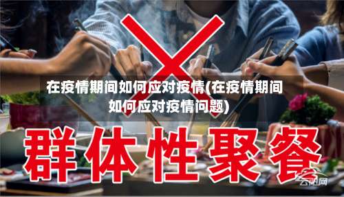 在疫情期间如何应对疫情(在疫情期间如何应对疫情问题)-第2张图片