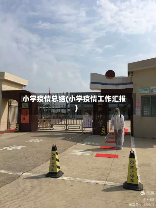 小学疫情总结(小学疫情工作汇报)-第3张图片
