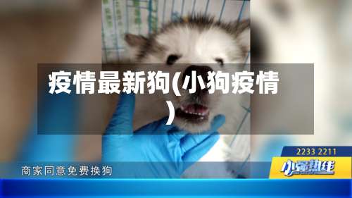 疫情最新狗(小狗疫情)-第2张图片