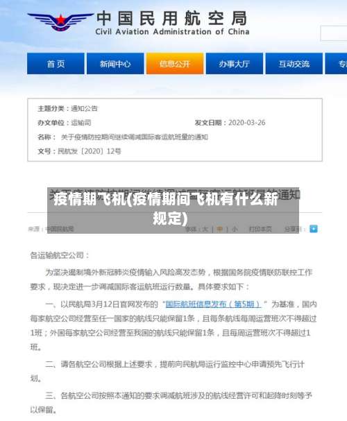 疫情期飞机(疫情期间飞机有什么新规定)-第3张图片