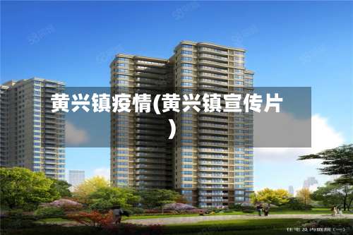 黄兴镇疫情(黄兴镇宣传片)-第3张图片
