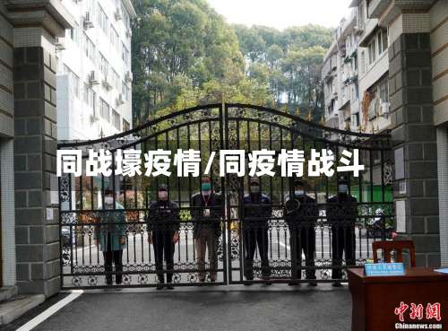 同战壕疫情/同疫情战斗-第2张图片