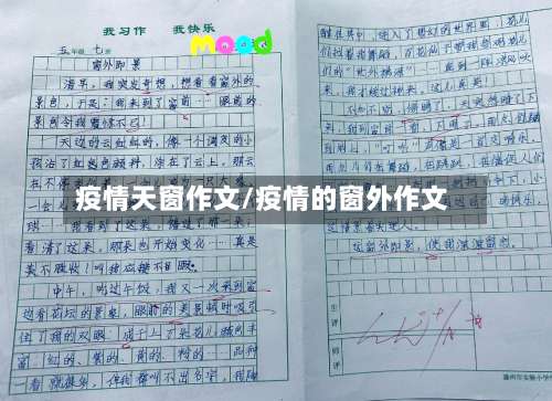 疫情天窗作文/疫情的窗外作文
