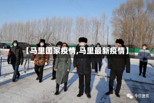 【马里国家疫情,马里最新疫情】-第2张图片