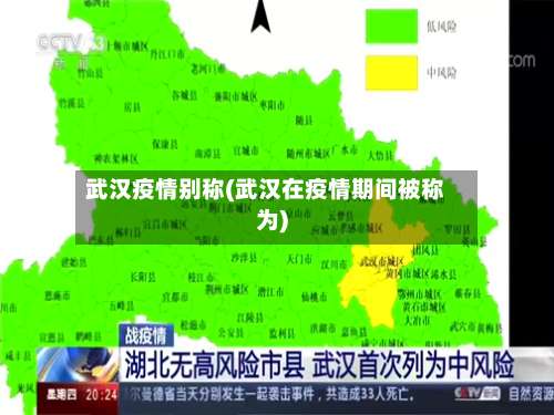 武汉疫情别称(武汉在疫情期间被称为)