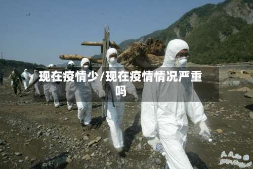 现在疫情少/现在疫情情况严重吗