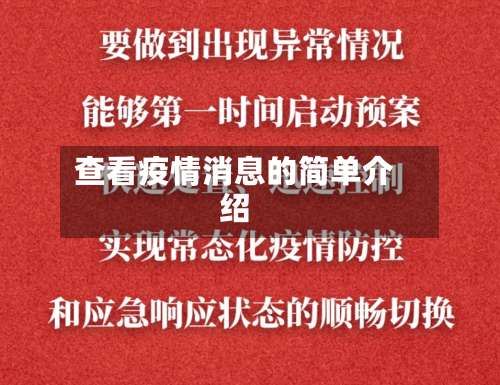 查看疫情消息的简单介绍