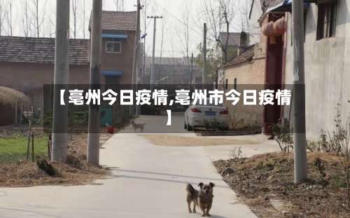 【亳州今日疫情,亳州市今日疫情】-第2张图片