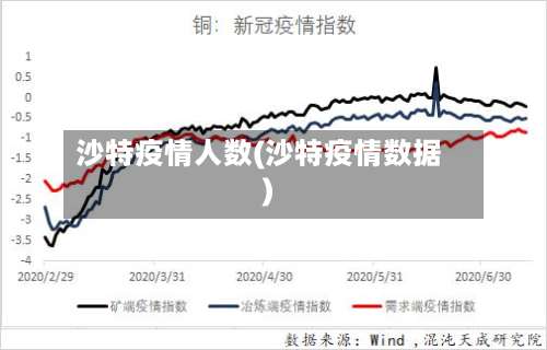 沙特疫情人数(沙特疫情数据)-第3张图片