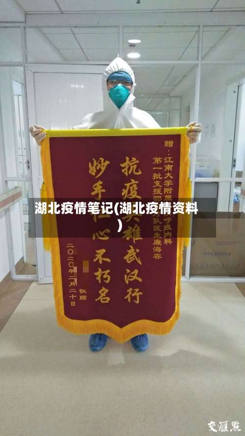 湖北疫情笔记(湖北疫情资料)-第2张图片