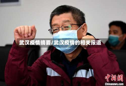 武汉疫情摘要/武汉疫情的相关报道-第2张图片