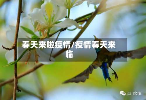 春天来啦疫情/疫情春天来临