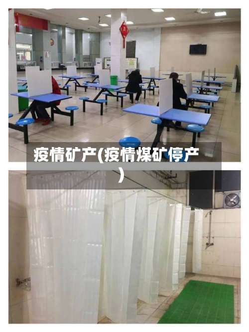 疫情矿产(疫情煤矿停产)-第3张图片