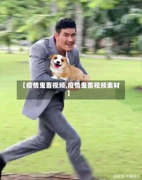 【疫情鬼畜视频,疫情鬼畜视频素材】