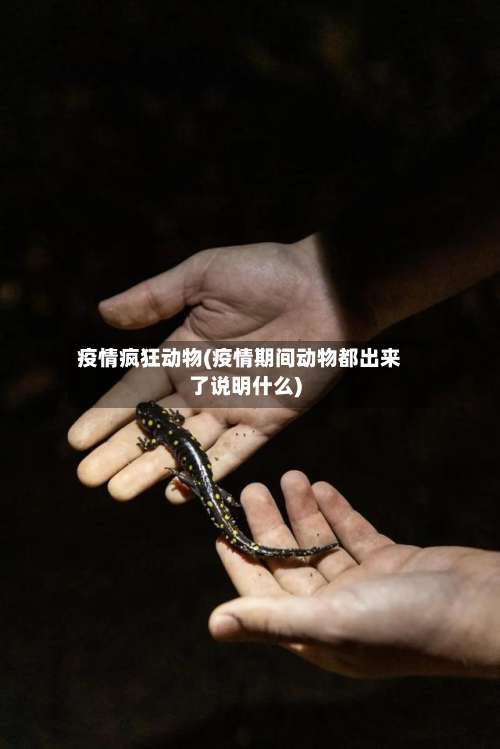 疫情疯狂动物(疫情期间动物都出来了说明什么)-第3张图片