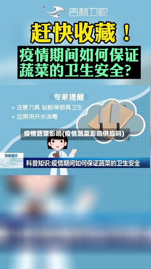 疫情蔬菜影响(疫情蔬菜影响供应吗)-第2张图片