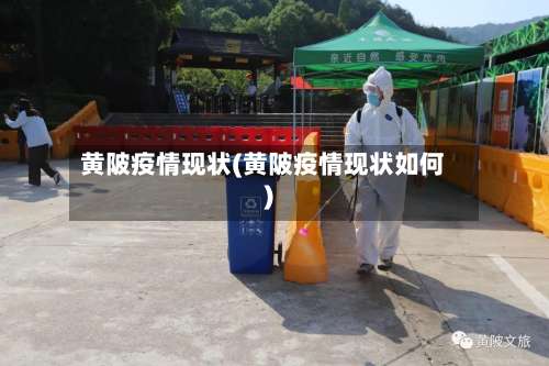 黄陂疫情现状(黄陂疫情现状如何)-第3张图片