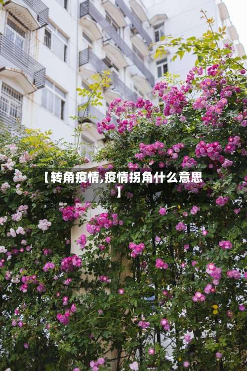 【转角疫情,疫情拐角什么意思】