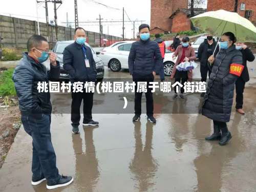 桃园村疫情(桃园村属于哪个街道)