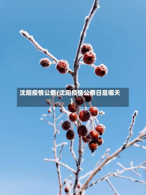 沈阳疫情公祭(沈阳疫情公祭日是哪天)