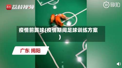疫情前踢球(疫情期间足球训练方案)-第2张图片