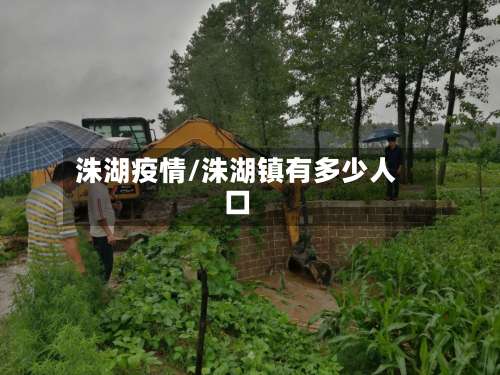洙湖疫情/洙湖镇有多少人口