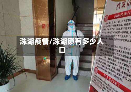 洙湖疫情/洙湖镇有多少人口-第2张图片
