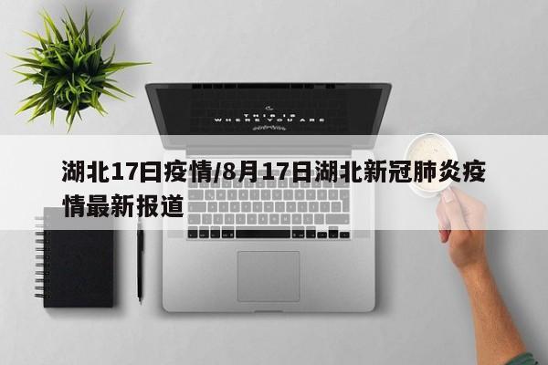 湖北17曰疫情/8月17日湖北新冠肺炎疫情最新报道