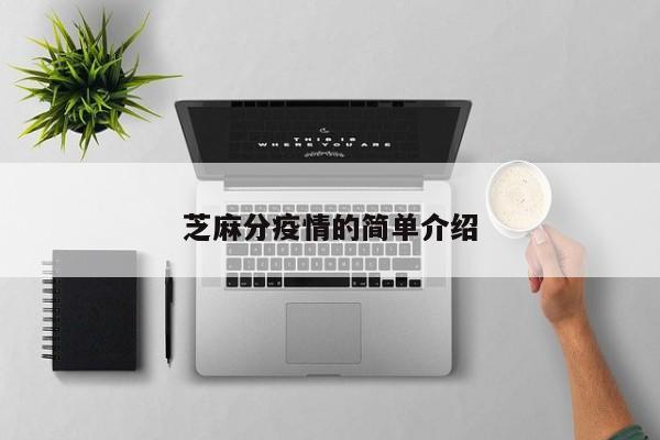 芝麻分疫情的简单介绍