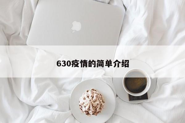 630疫情的简单介绍