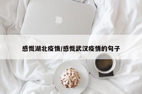 感慨湖北疫情/感慨武汉疫情的句子